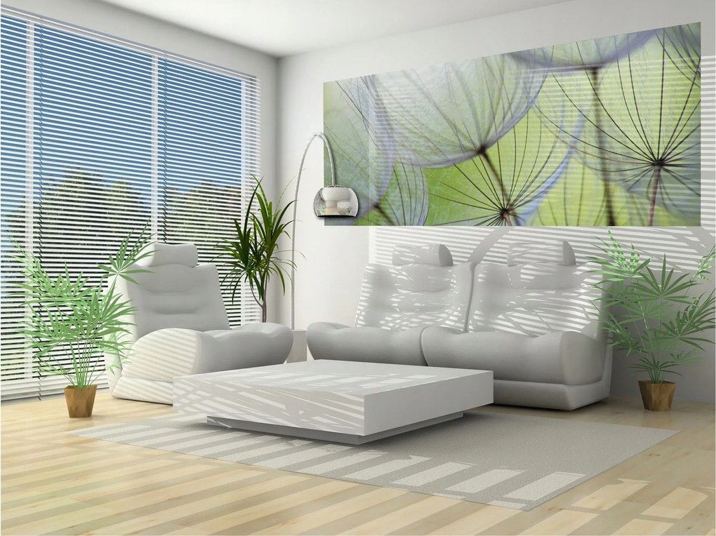 Fotótapéta flizelina Pitypang A természet könnyedsége makro magok 250x104 +ragasztó