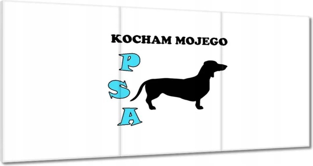 Festmények 120x60 Tacskó