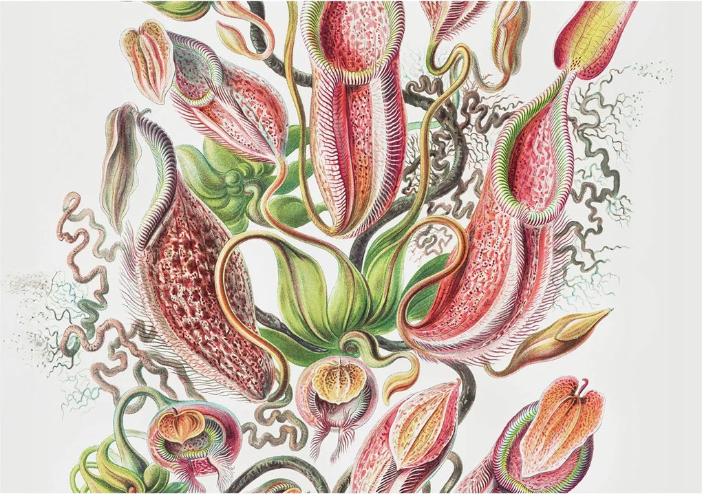 Fotótapéta Flizelin Dekoratív tapéta Növényi részletek 208x146 Ragasztó