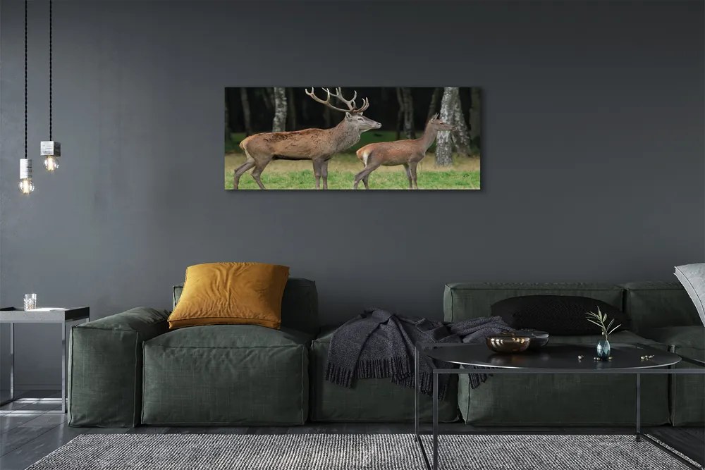 Canvas képek szarvas erdei 140x70 cm