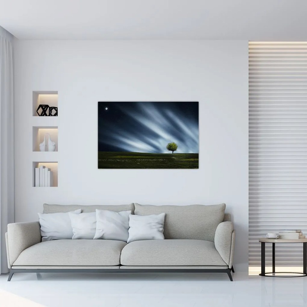 Az aurora borealis képe egy lápvidéken (90x60 cm)