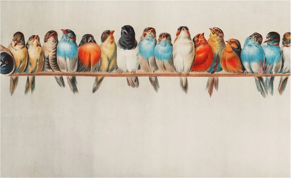 Fotótapéta Flizelin Dekoratív tapéta Madarak az ágon 416x254 Ragasztó