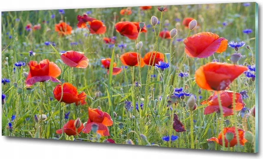 Fotó vászonkép edzett üveg Fehér rózsák 125x50