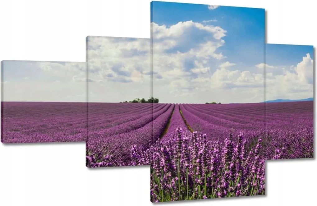 Vászonkép 130x80 Levendulamező Levendula