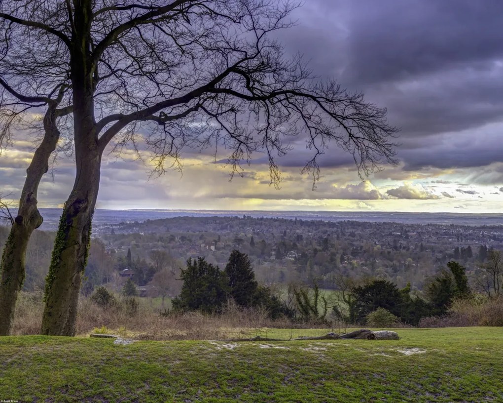 Poszter 50x40cm Reigate Hill 2, Assaf Frank
