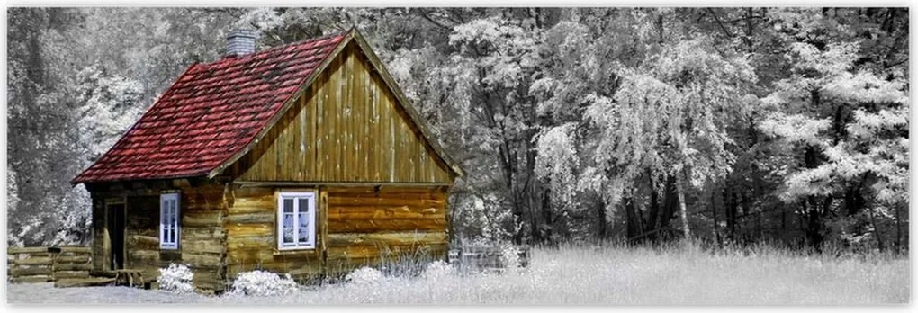 Poszterek 200x66 Fa ház Bale