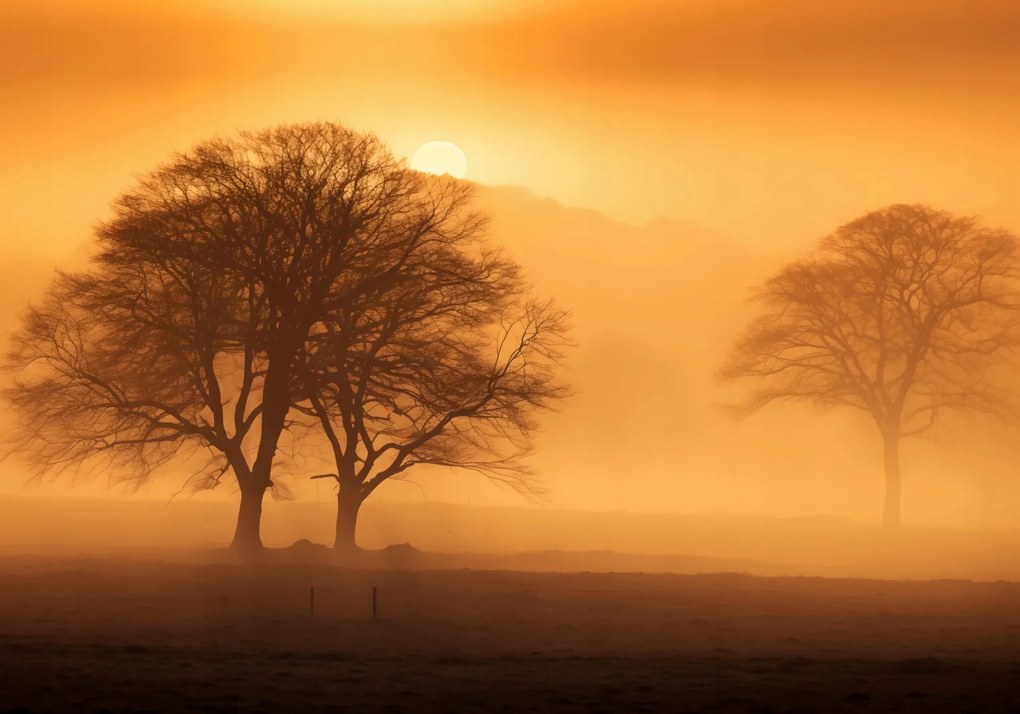Poszter 100x70cm Alkonyat a tisztások felett