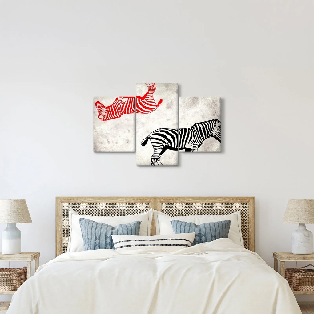 Kép - Zebrák (90x60 cm)