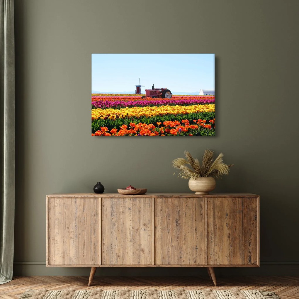 Tulipánfarm képe (90x60 cm)