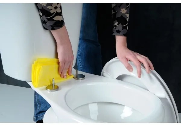 Sapho - ADINA SoftClose WC-ülőke, fehér