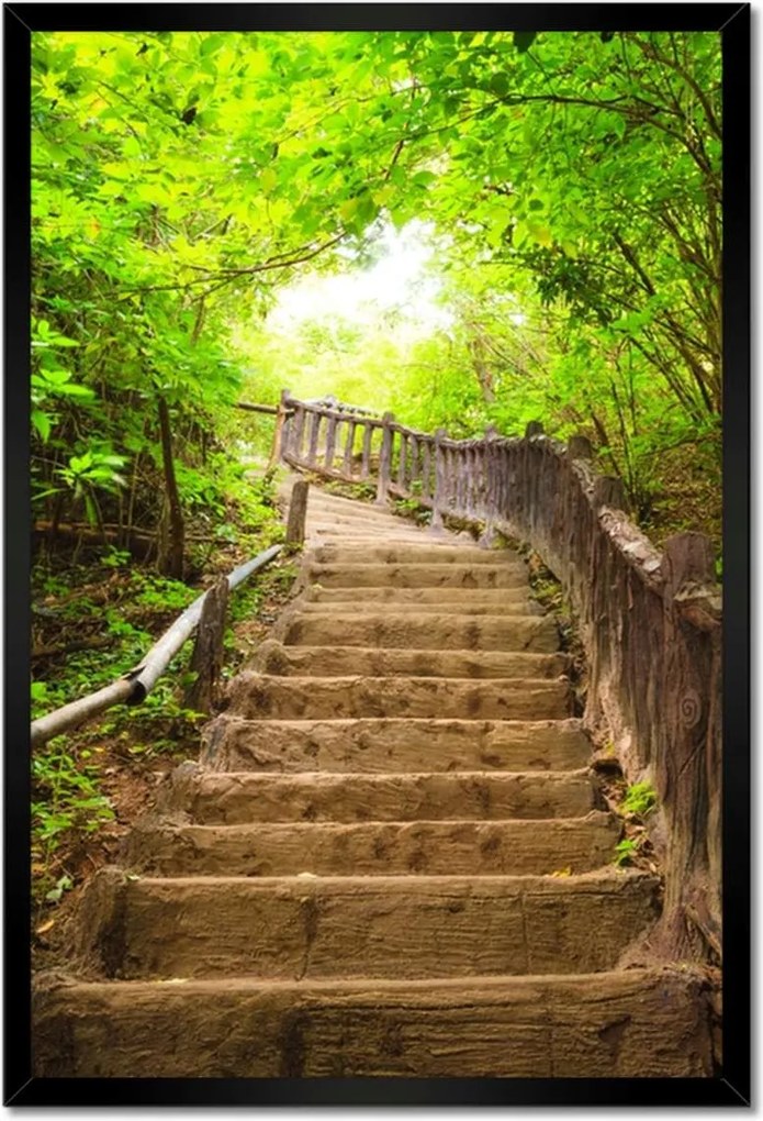Poszterek keretben 40x60 Lépcsők az erdőbe