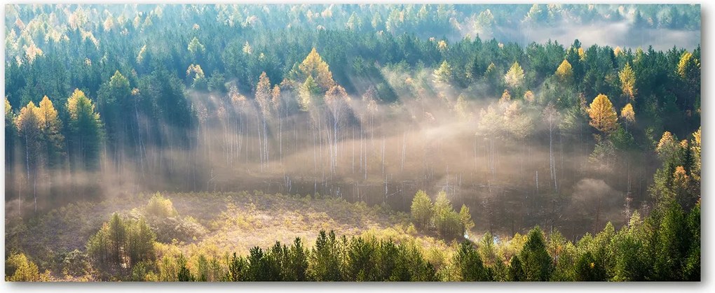 Üveg konyhai védőpanel Köd az erdőben XXL