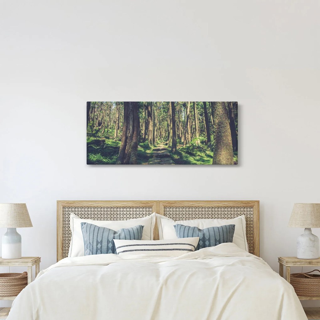 Kép egy út a fák között (120x50 cm)