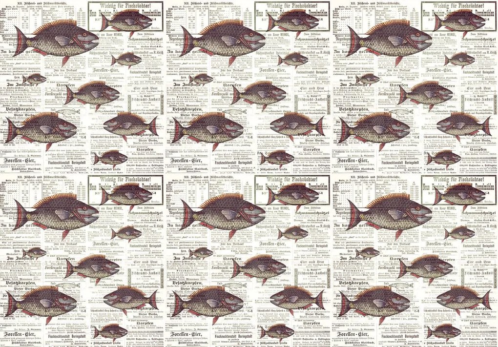 Fotótapéta - Piranhas egy régi újságban (152,5x104 cm)