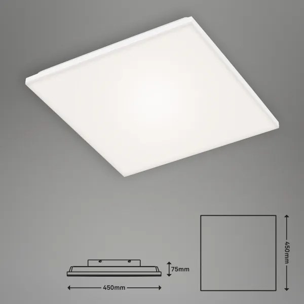Briloner 7376-116 - LED Mennyezeti lámpa FRAMELESS LED/24W/230V