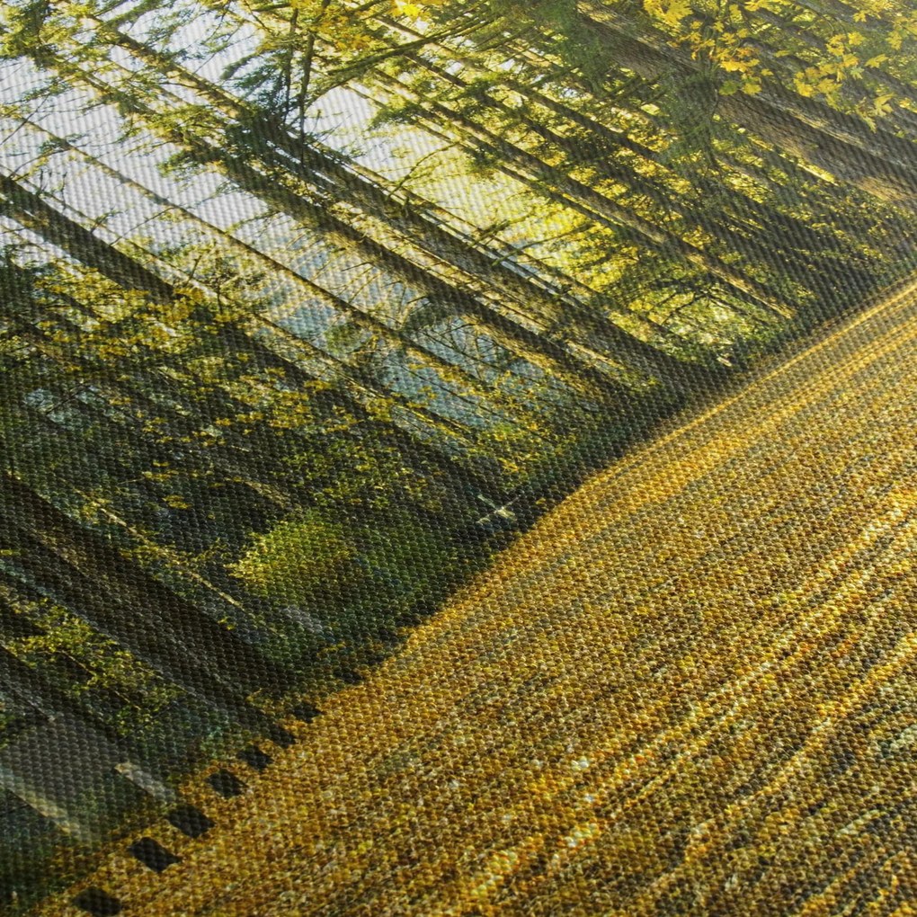 Kép - erdő ősszel (órával) (90x30 cm)
