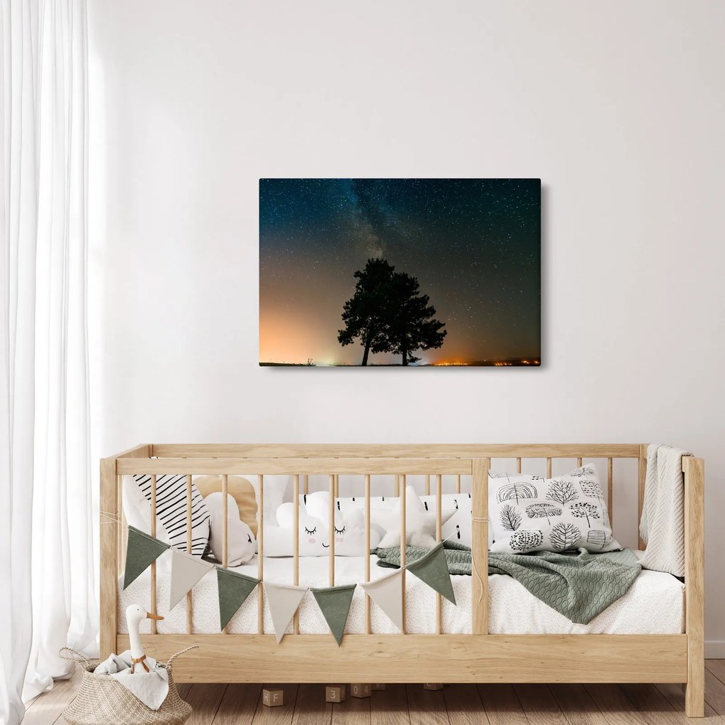 Egy éjszakai égbolt fákkal képe (90x60 cm)