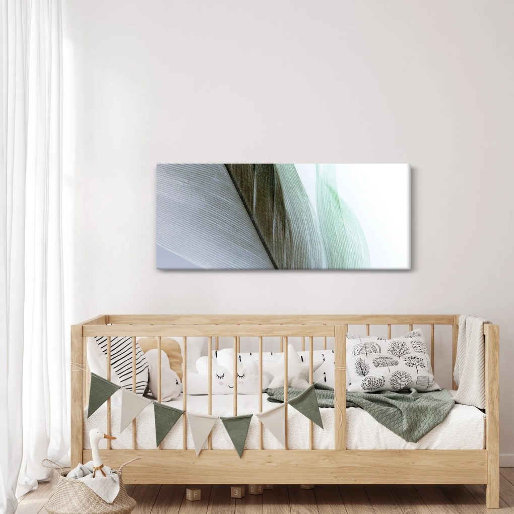 Kép - Tollak, makro (120x50 cm)