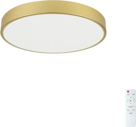 Brilagi - LED dimmelhető medencelámpa POOL LED/60W/230V 3000-6000K átm. 60 cm arany + távirányító