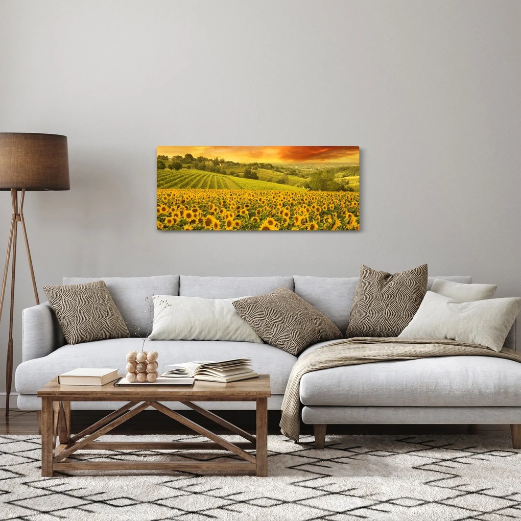Kép - Napraforgó mező (120x50 cm)