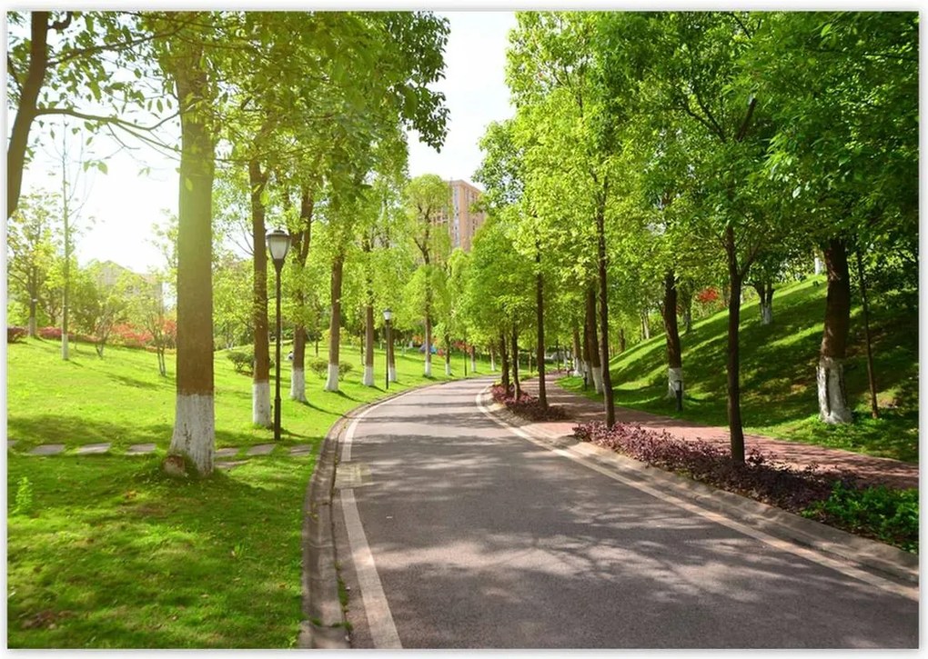 Poszterek 100x70 Ösvény a parkban természet