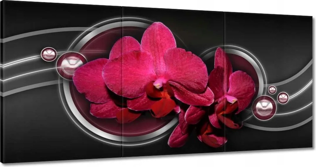 Festmények 120x60 Absztrakt orchideával