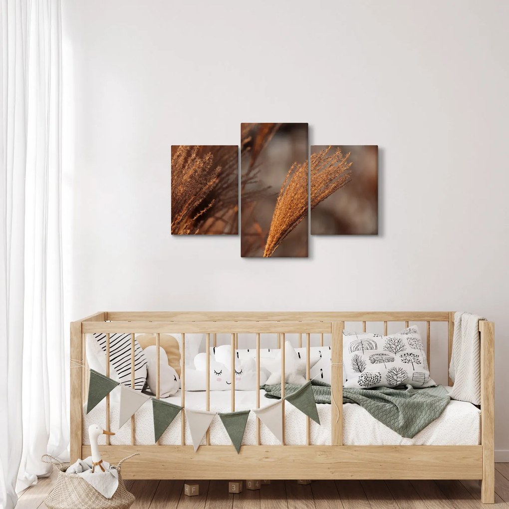 Kép - Cortaderia (90x60 cm)