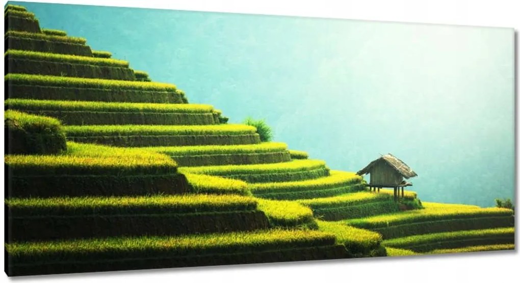 Vászonkép 115x55 Trópusi teraszok Zöld