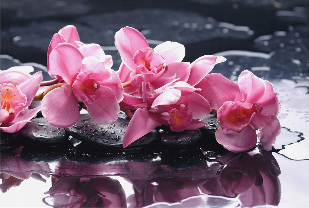 Fali tapéta Prémium Virágos elegancia 104x70 Ragasztó