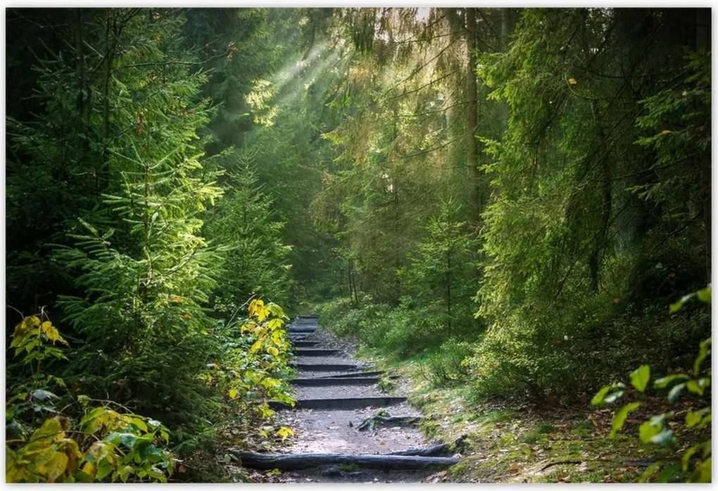 Poszterek 185x125 Tájkép