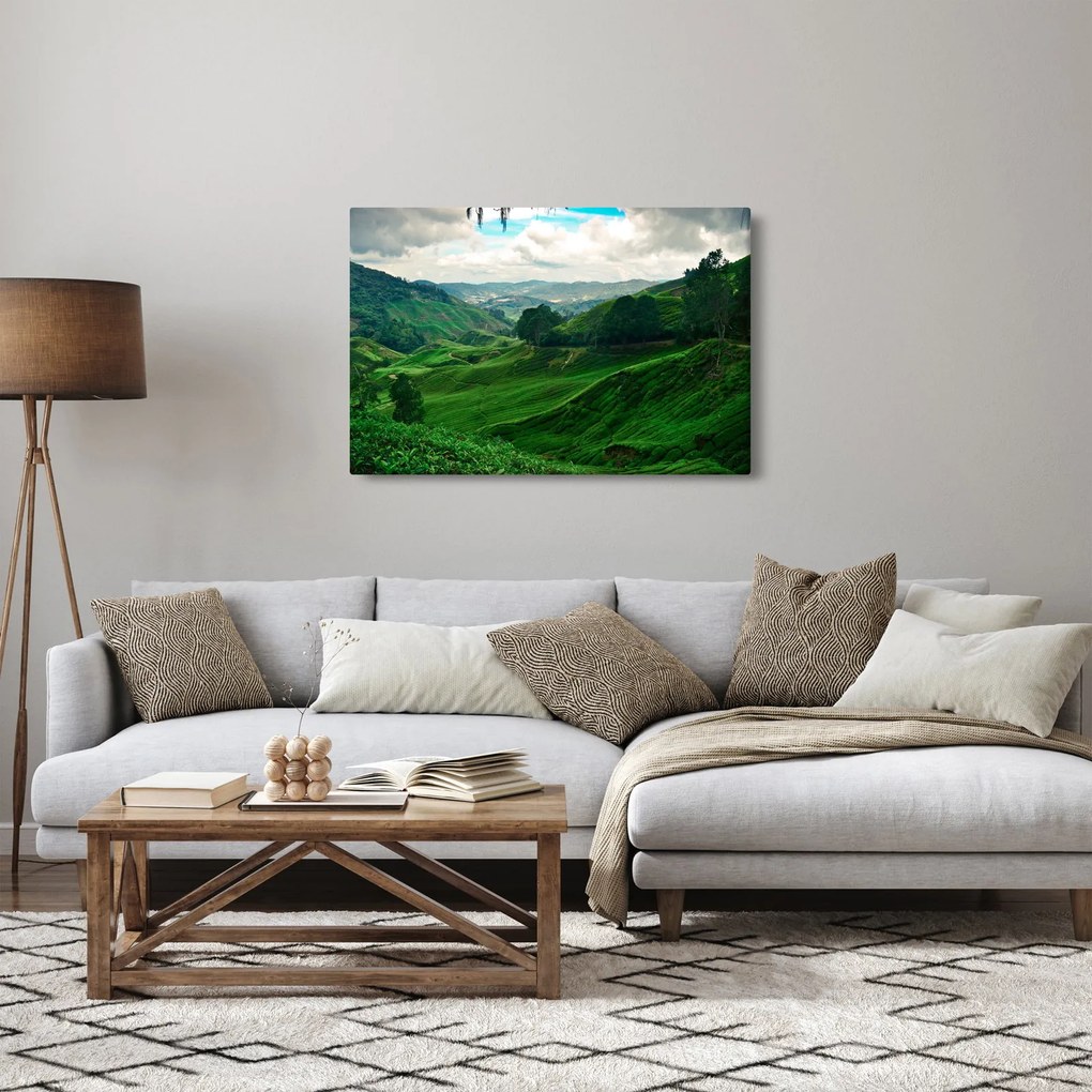 Kép - Teaültetvények Malajziában (90x60 cm)