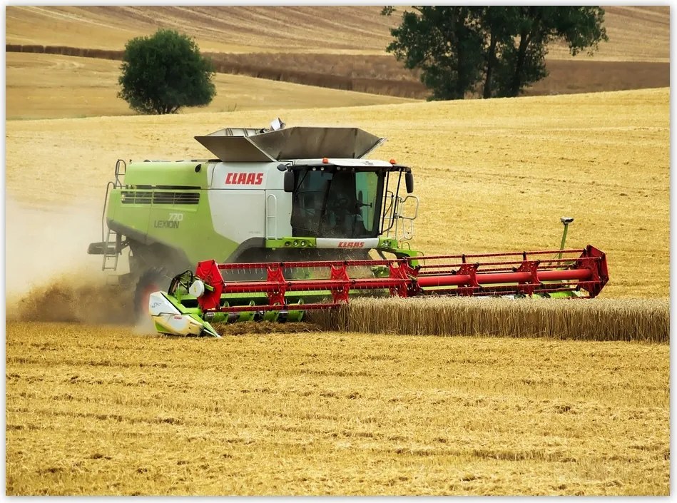 Poszterek 135x100 Kombájn Aratás
