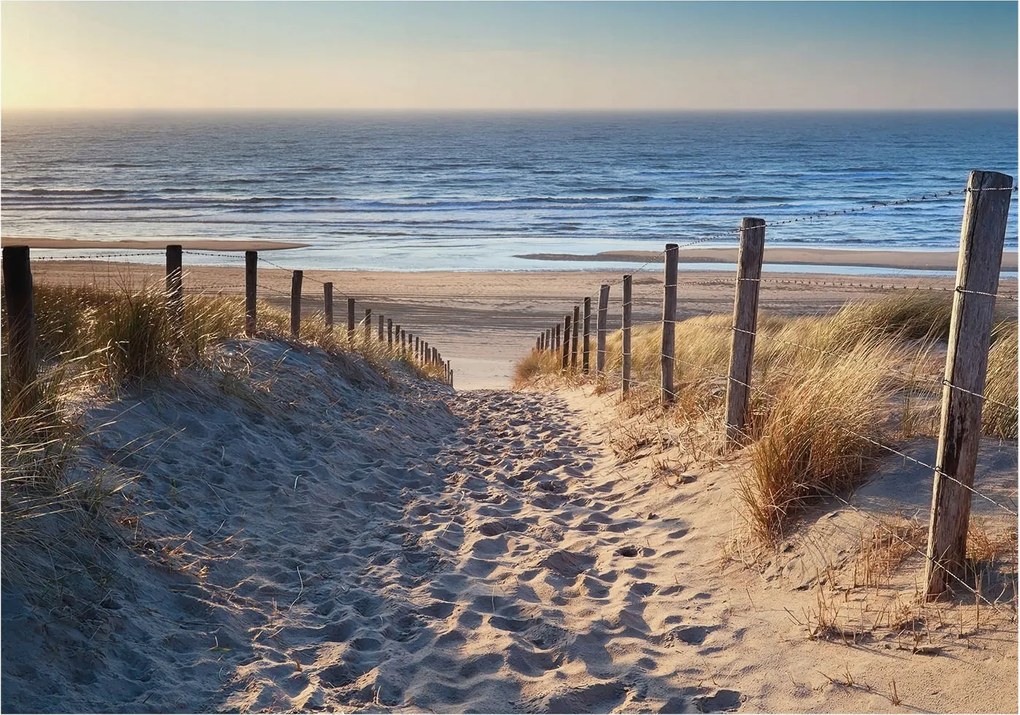 Divatos Flizelin Tapéta Ragasztóval Fali 3D Strand ösvény 312x219 Ragasztó