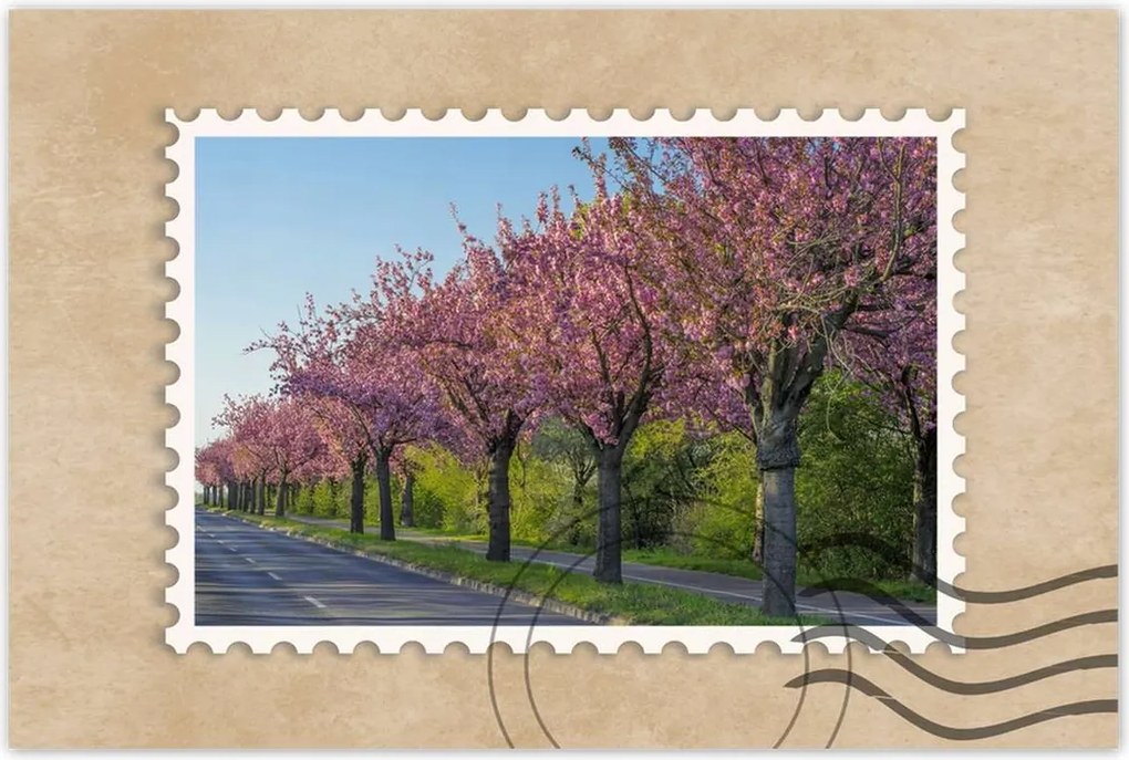 Poszterek 120x80 Fa Fák Kilátás