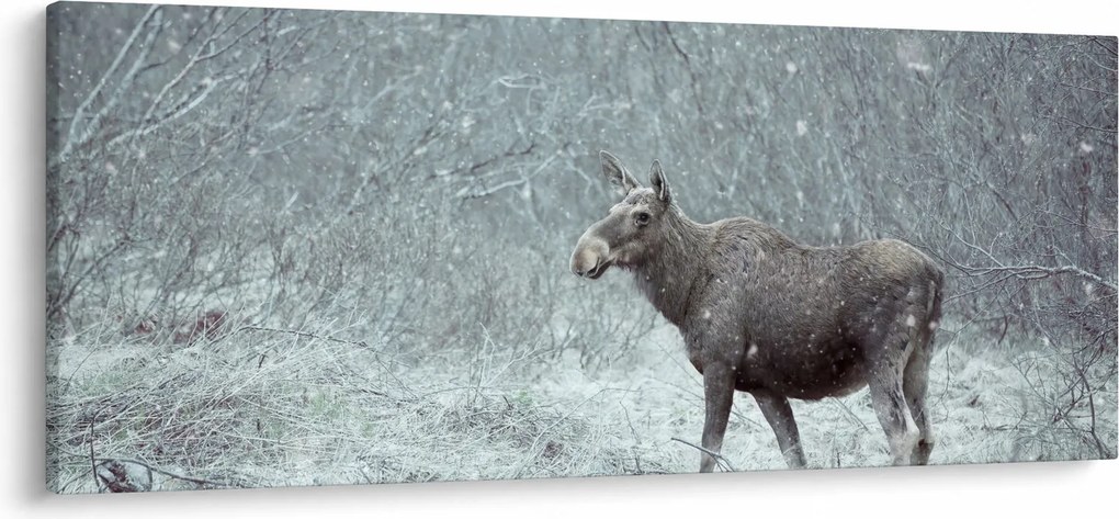 Kép - jávorszarvas egy hóval borított erdőben (120x50 cm)