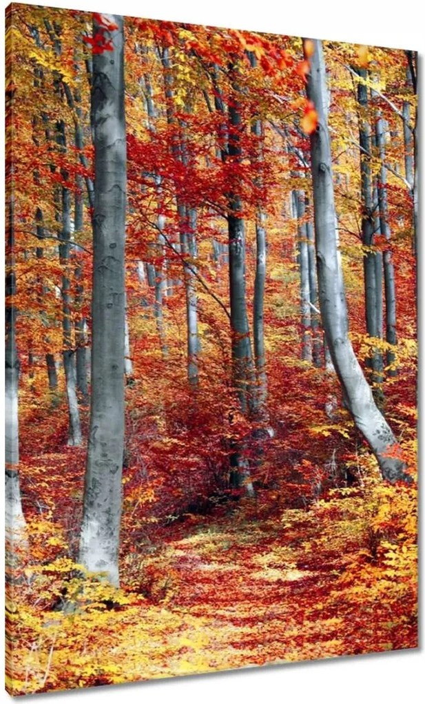 Festmények 70x100 Tájkép