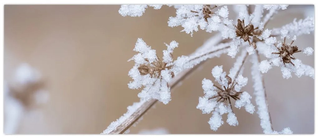 Kép - Fagy (120x50 cm)