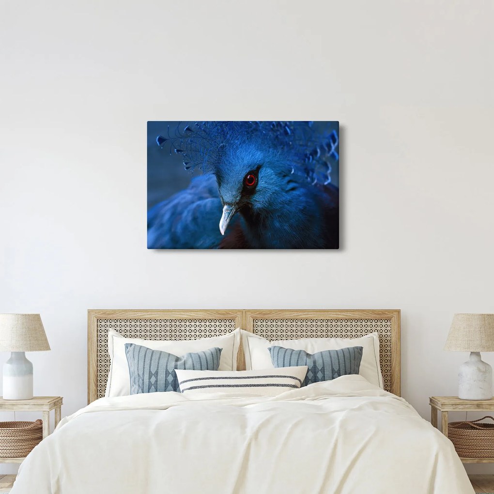 Kép - Koronás galamb (90x60 cm)