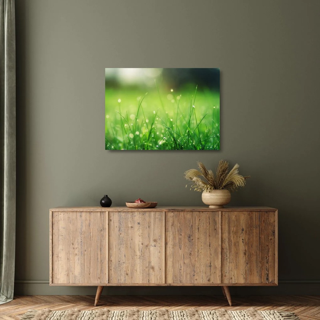 Kép - harmatos fű (üvegen) (70x50 cm)