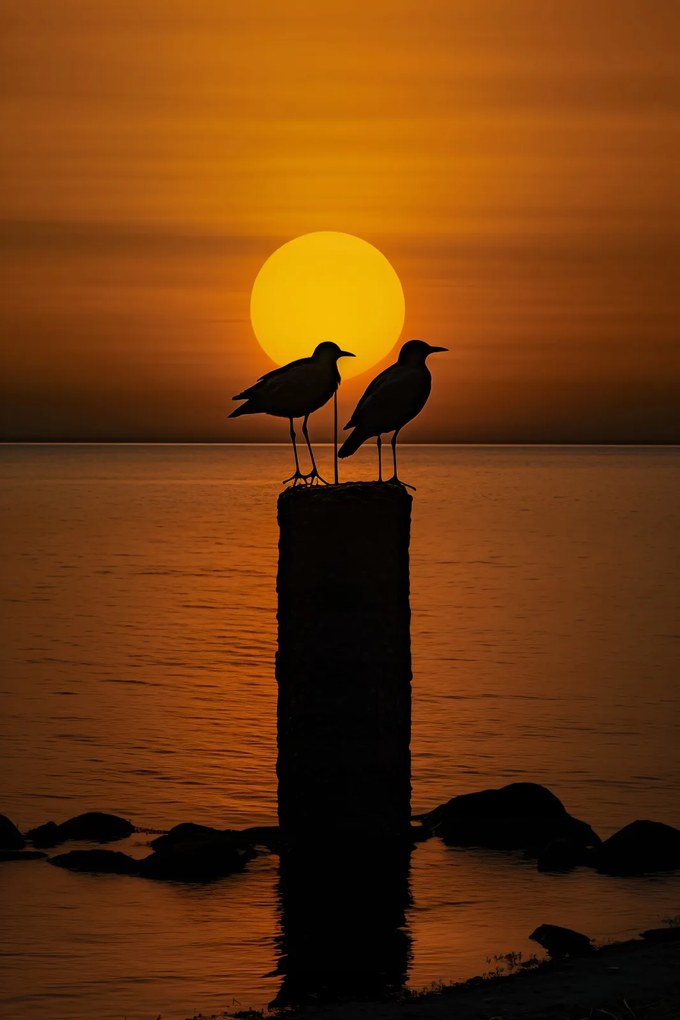 Poszter 30x45cm Beszélgetések alkonyatkor