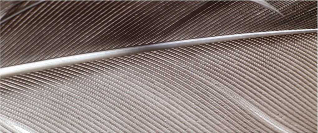 Absztrakt kép szálak (120x50 cm)