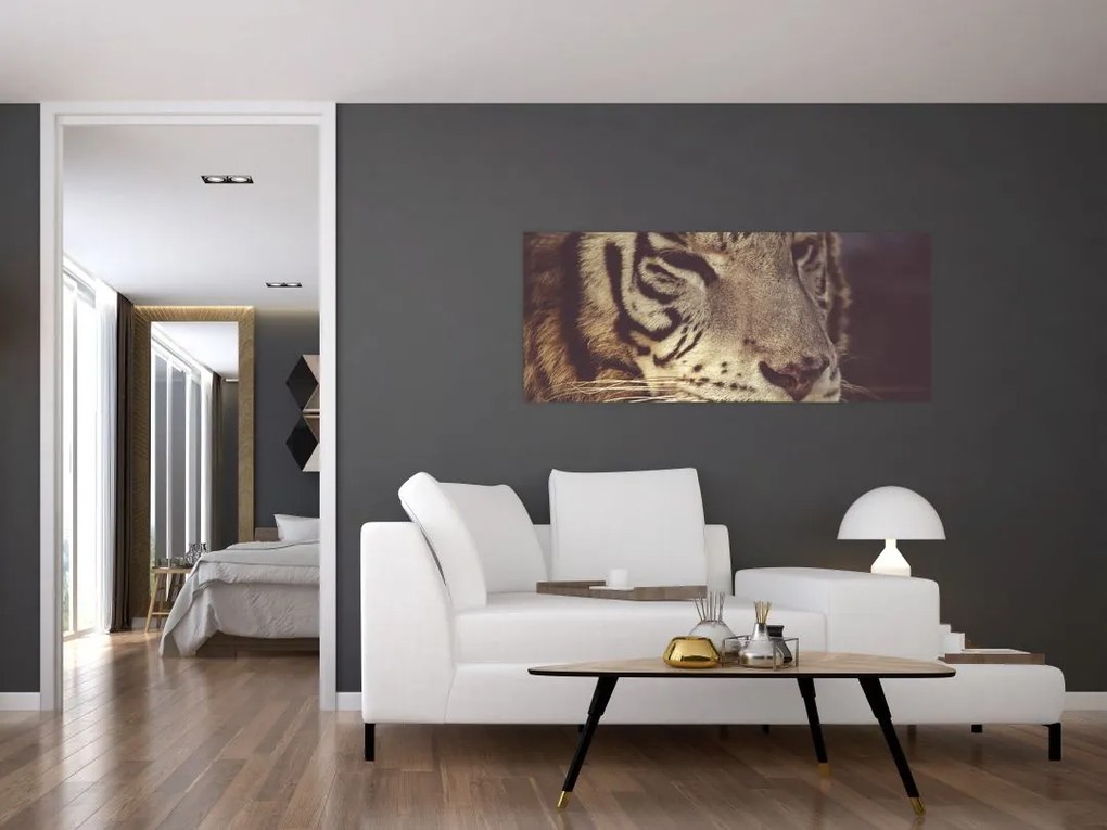 Tigris képe (120x50 cm)