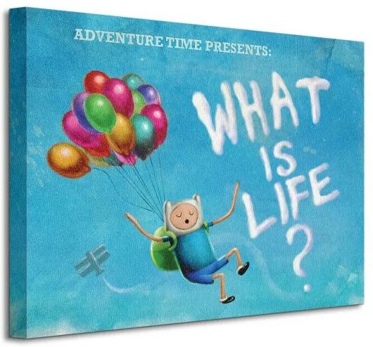 Vászonkép Cartoon Network Adventure Time - What is life? 40x30cm WDC92128