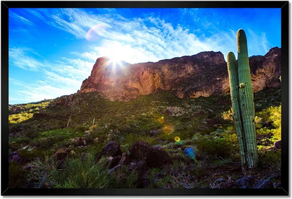 Poszterek keretben 60x40 Tájkép kaktuszokkal