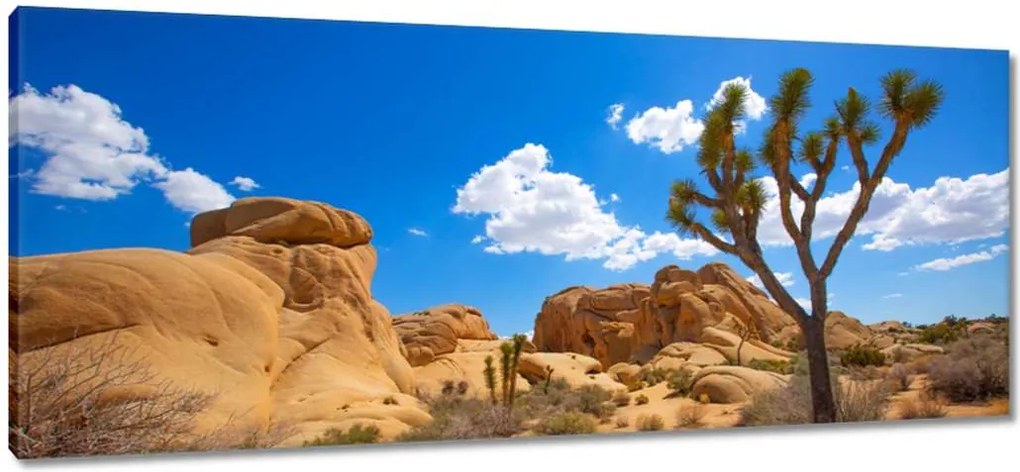 Vászonkép 100x40 Sivatagi táj