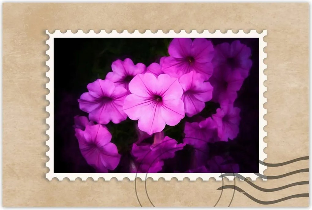 Poszterek 60x40 Petunia lila virágai