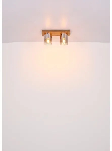 Globo 15915-2 - Mennyezeti lámpa UNDERWOOD 2xE27/40W/230V 16x41 cm