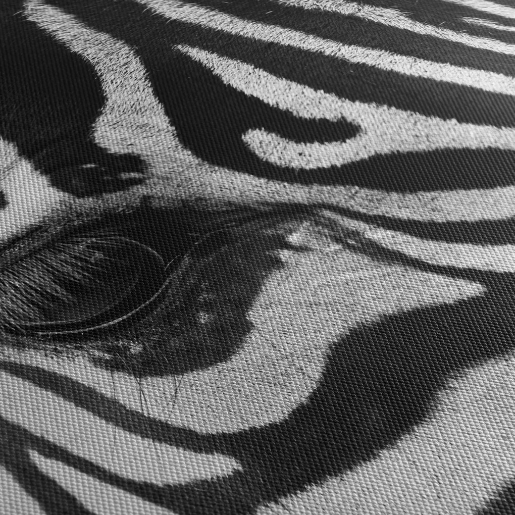 Zebra képe (120x50 cm)