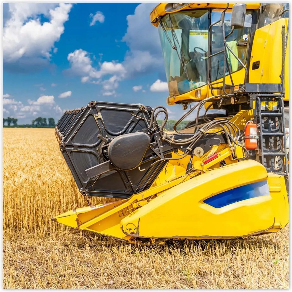 Poszterek 30x30 Érett termések gyűjteménye