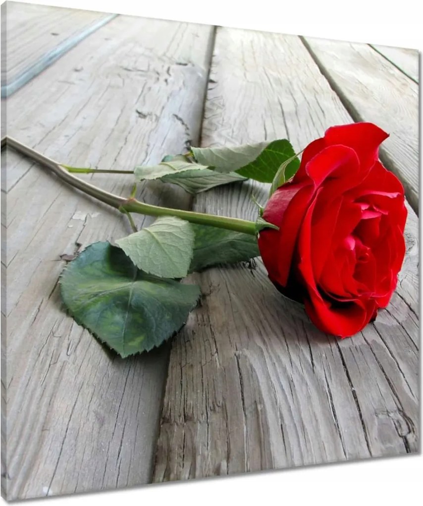 Vászonkép 70x70 Vörös rózsa a deszkákon